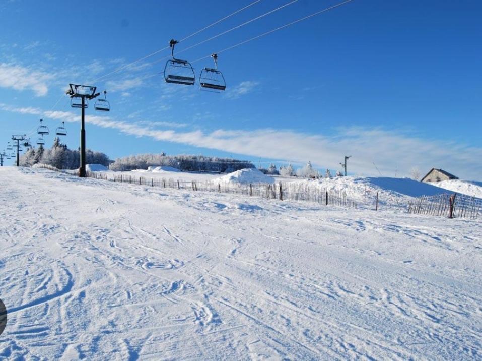 Gite Spa "La Foret Argentee" Proche Gerardmer Laveline-du-Houx Bagian luar foto