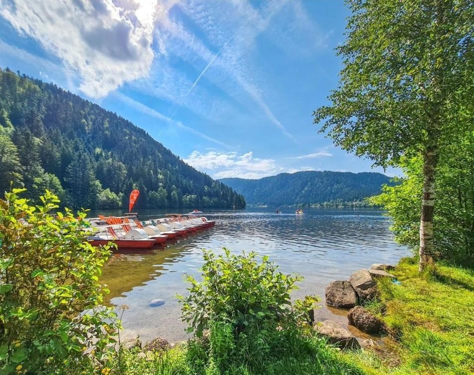 Gite Spa "La Foret Argentee" Proche Gerardmer Laveline-du-Houx Bagian luar foto