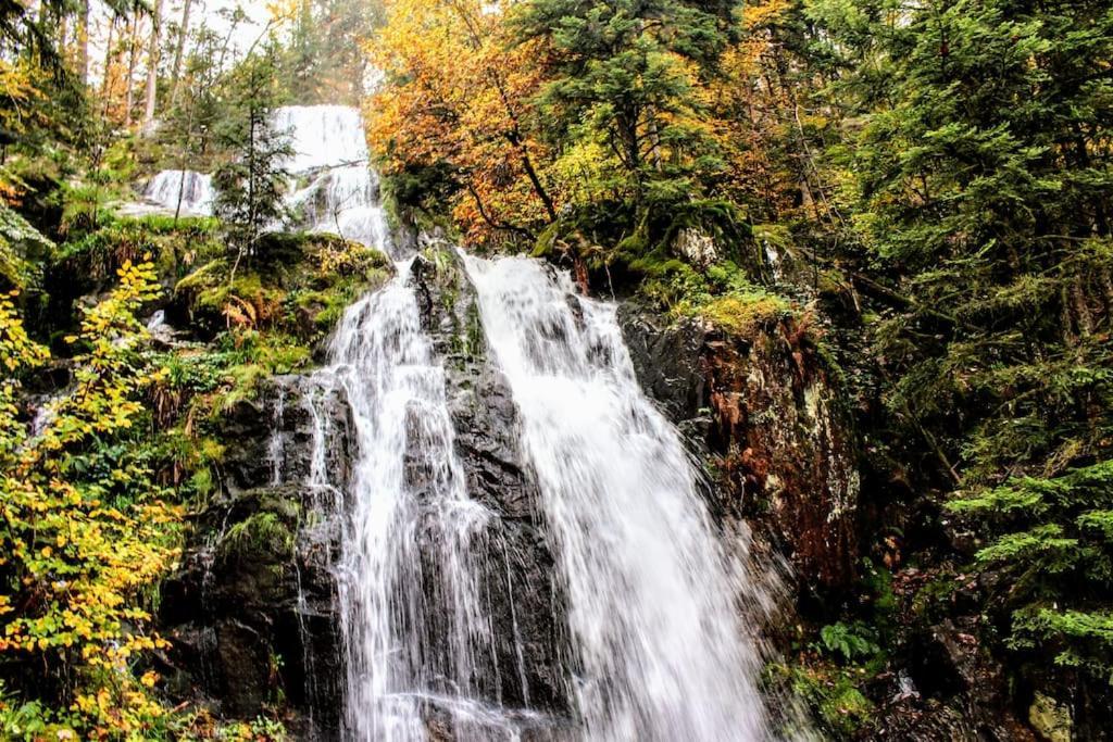 Gite Spa "La Foret Argentee" Proche Gerardmer Laveline-du-Houx Bagian luar foto